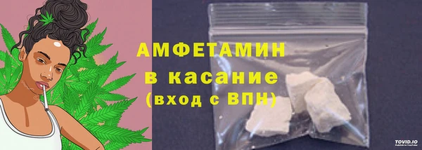 молекула духа Новозыбков