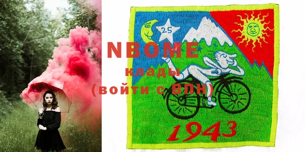 шишки Новодвинск