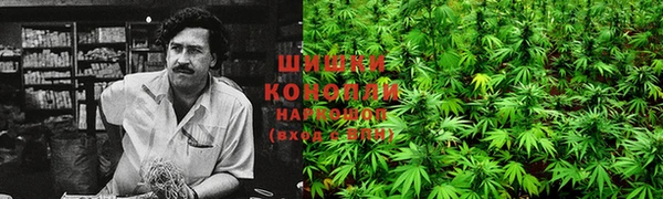 эйфоретик Михайлов