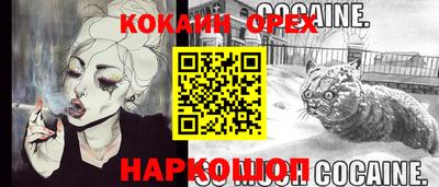дмт Гай