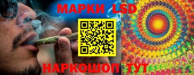 дмт Гай
