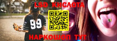 дмт Гай
