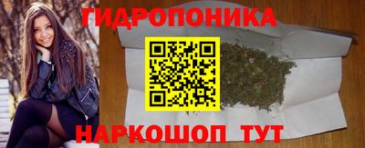 дмт Гай