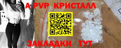 дмт Гай