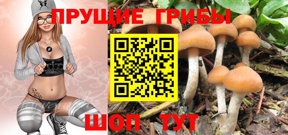 Галлюциногенные грибы мухоморы Чайковский