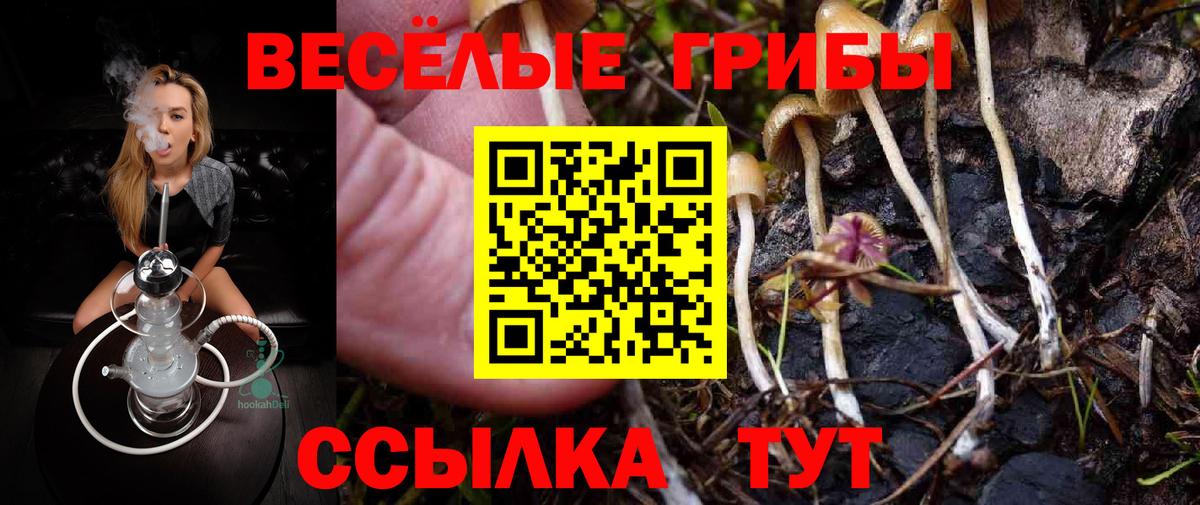 Псилоцибиновые грибы мицелий  Вход с VPN  Чайковский 