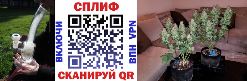 Бошки Шишки тримм  Чайковский 